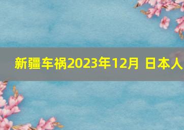 新疆车祸2023年12月 日本人